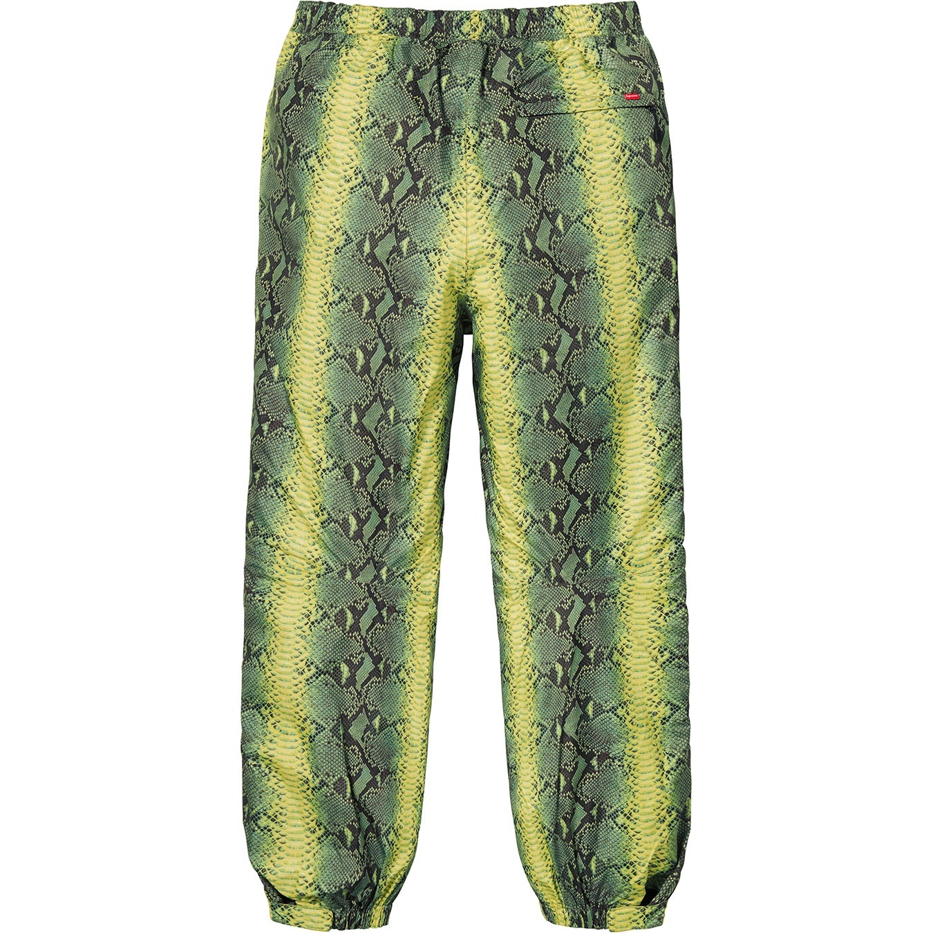 Supreme®/The North Face® Snakeskin Taped Seam Pant view 3